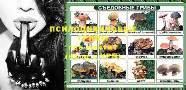 ГАЛЛЮЦИНОГЕННЫЕ ГРИБЫ Магас