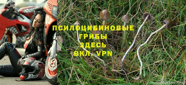 ГАЛЛЮЦИНОГЕННЫЕ ГРИБЫ Магас