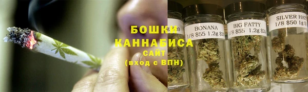 ГАЛЛЮЦИНОГЕННЫЕ ГРИБЫ Магас