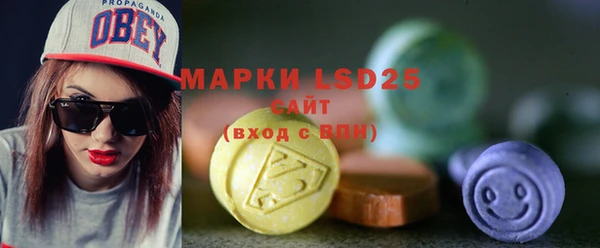 ГАЛЛЮЦИНОГЕННЫЕ ГРИБЫ Магас