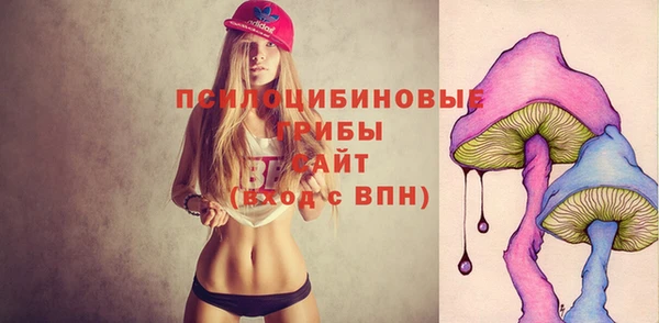 ГАЛЛЮЦИНОГЕННЫЕ ГРИБЫ Магас
