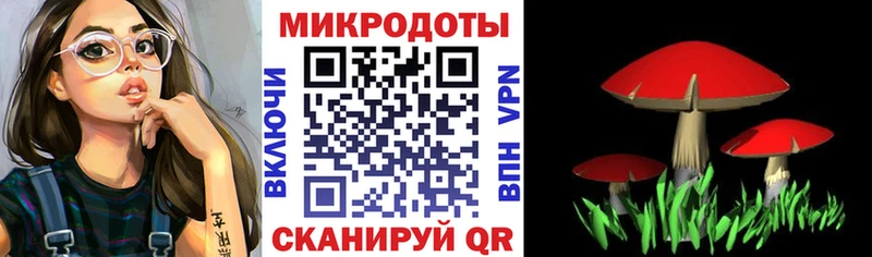 Галлюциногенные грибы мицелий  Кемерово 