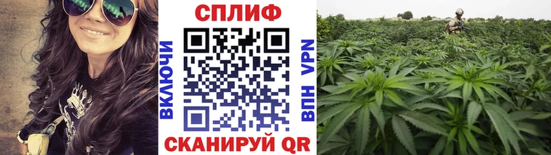 сайты даркнета какой сайт  Кемерово  Конопля планчик 